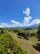 Se vende propiedad única en la zona de Juan Viñas, Cartago. 