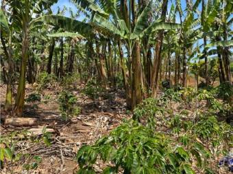 VENTA DE DOS LOTES INDEPENDIENTES, ALAJUELA, NARANJO