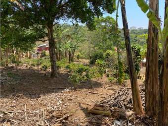 VENTA DE DOS LOTES INDEPENDIENTES, ALAJUELA, NARANJO