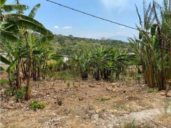 VENTA DE DOS LOTES INDEPENDIENTES, ALAJUELA, NARANJO