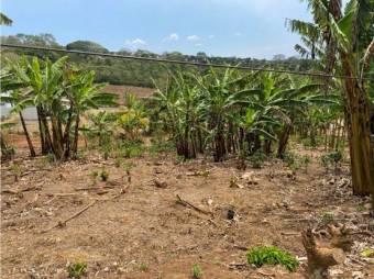 VENTA DE DOS LOTES INDEPENDIENTES, ALAJUELA, NARANJO