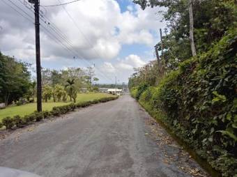 Excelente terreno en la Avenida 32 de Guapiles  En Venta    CG-20-1041