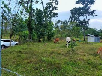 Linda Finca en el Centro de Guapiles  En Venta    CG-21-1231