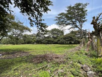 Lote en Venta en El Coyol, Alajuela. RAH 23-917