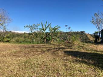 Excelente terreno plano en SanPedro de Alajuela en Venta.   CG-23-2670