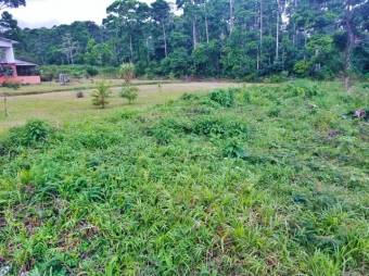 Excelente terreno con 1000Msts2 con Servicio de Agua en Guapiles en Venta.