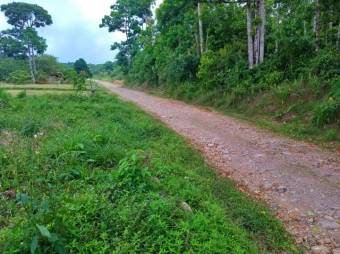 Excelente terreno con 1000Msts2 con Servicio de Agua en Guapiles en Venta.