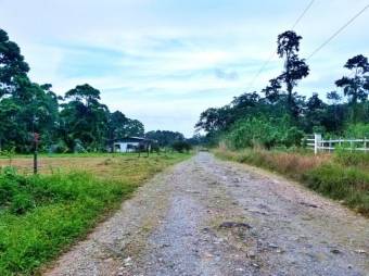 Excelente terreno con 1000Msts2 con Servicio de Agua en Guapiles en Venta.