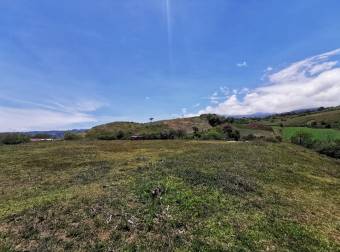 Land for sale in Cervantes, Cartago.