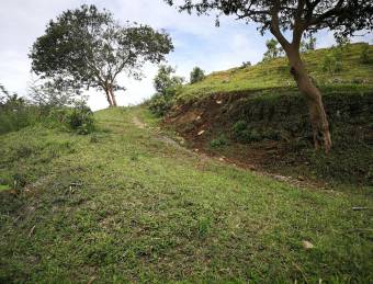 Land for sale in Cervantes, Cartago.