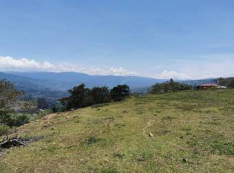 Land for sale in Cervantes, Cartago.