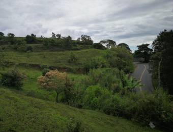 Land for sale in Cervantes, Cartago.