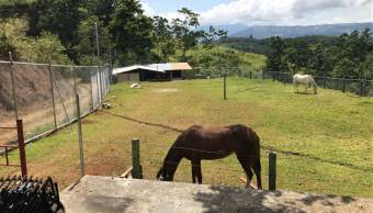 Se vende finca en Pavones, Turrialba.