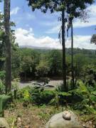 Se vende finca en Pavones, Turrialba.