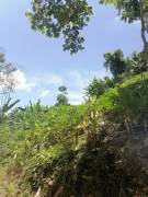 Farm for sale in Pavones, Turrialba.