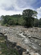 Se vende finca en Pavones, Turrialba.