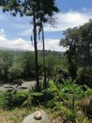 Se vende finca en Pavones, Turrialba.