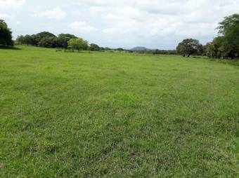 Excelente Finca Ganadera en San Blas de Guanacaste en Venta.   CG-20-827