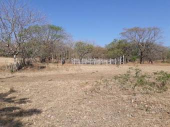 Excelente Finca Ganadera en San Blas de Guanacaste en Venta.   CG-20-827