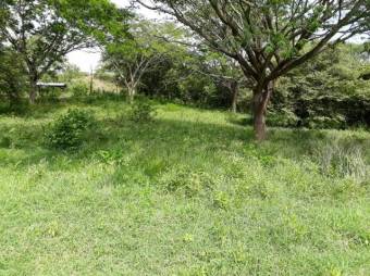 Excelente Finca Ganadera en San Blas de Guanacaste en Venta.   CG-20-827