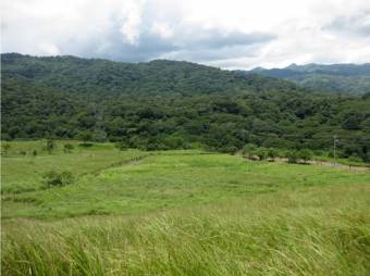 VENTA DE LOTE, ALAJUELA, GUÁCIMA, LAS VUELTAS