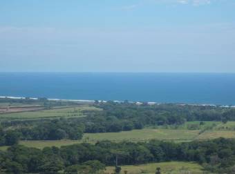 VENTA de 5000 mts cuadrados en Playa Hermosa Jaco