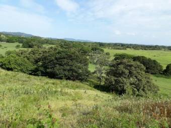 Excelente Finca Ganadera en San Blas de Guanacaste en Venta.   CG-20-827