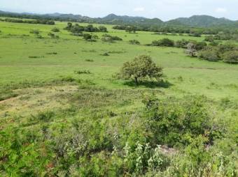 Excelente Finca Ganadera en San Blas de Guanacaste en Venta.   CG-20-827