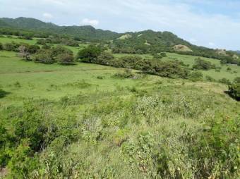 Excelente Finca Ganadera en San Blas de Guanacaste en Venta.   CG-20-827