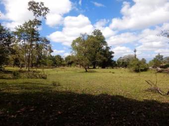 Excelente Finca con Luz y Agua en Toro Amarillo de Guápiles en Venta.   CG-20-657