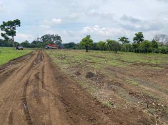 Terreno Santo Domingo de Heredia