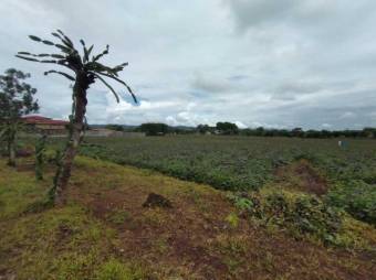 Se vende amplio lote plano de con 32,983m2 en Guácima de Alajuela 23-2073