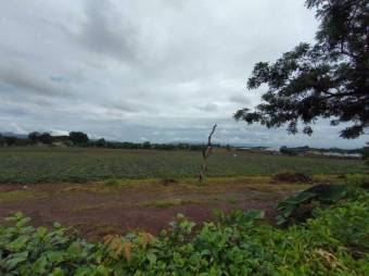 Se vende amplio lote plano de con 32,983m2 en Guácima de Alajuela 23-2073