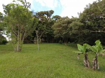 Se vende amplia finca de 38,504m2 con cabaña en San Rafael de Heredia 23-1819