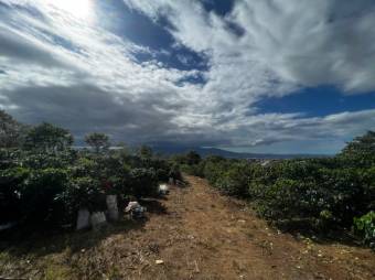 se vende amplia finca de 47,588m2 en Desamparados de Alajuela 23-1784