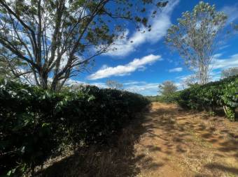 se vende amplia finca de 47,588m2 en Desamparados de Alajuela 23-1784