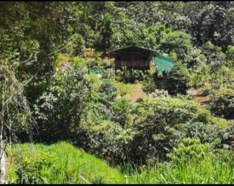 Quinta muy hermosa con cabañas y bosque río y piscina 