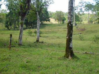 Propiedad en Santa Isabel Rio Cuarto