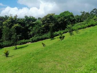 MLS-24-1503 VENTA LOTE DE 5.122M2 TILARAN GUANACASTE