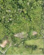 LAND FOR SALE, TUCURRIQUE 12 HECTARES