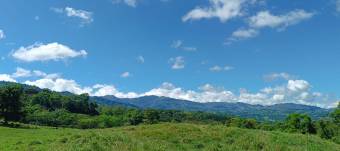 Beautiful cattle farm located in one of the most beautiful and quiet areas of Costa Rica