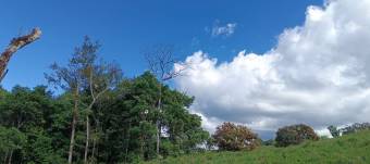 Beautiful cattle farm located in one of the most beautiful and quiet areas of Costa Rica