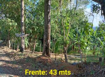 1,2 acres/5000 m2 with spring water