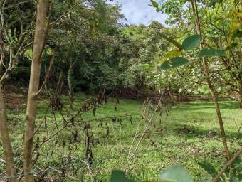 MLS-25-1619 LS VENTA LOTE MORA SAN JOSE MLS-25-1619 LS VENTA LOTE MORA SAN JOSE