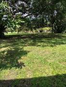 Se vende quinta con mas de 10mil m2 en Orotina Alajuela 25-69 Se vende quinta con mas de 10mil m2 en Orotina Alajuela 25-69