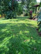 Se vende quinta con mas de 10mil m2 en Orotina Alajuela 25-69 Se vende quinta con mas de 10mil m2 en Orotina Alajuela 25-69