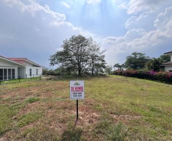1.137 m2 lot for sale in Ciudad Hacienda Los Reyes