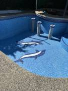 HOUSE FOR SALE IN TRES RIOS, LA UNION