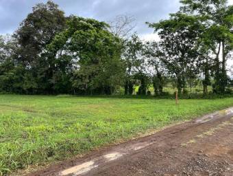 MLS-24-1495 LS VENTA LOTE LA FORTUNA SAN CARLOS MLS-24-1495 LS VENTA LOTE LA FORTUNA SAN CARLOS