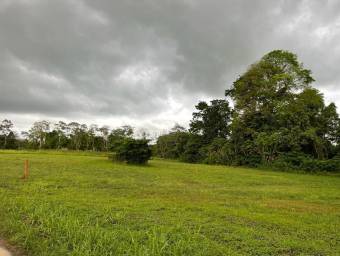 MLS-24-1495 LS VENTA LOTE LA FORTUNA SAN CARLOS 